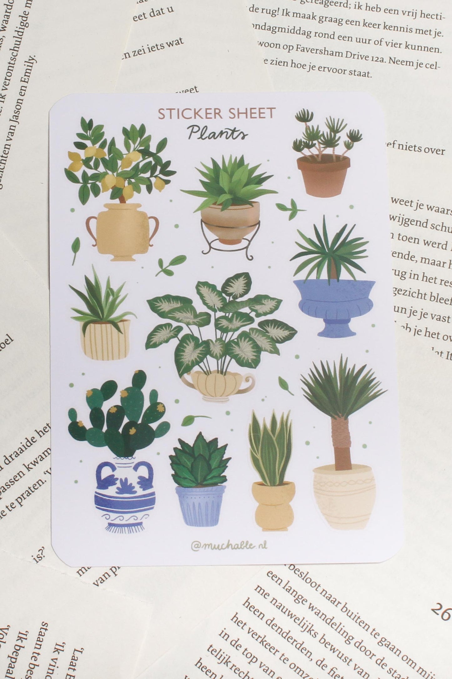 Stickervel - Kamerplanten