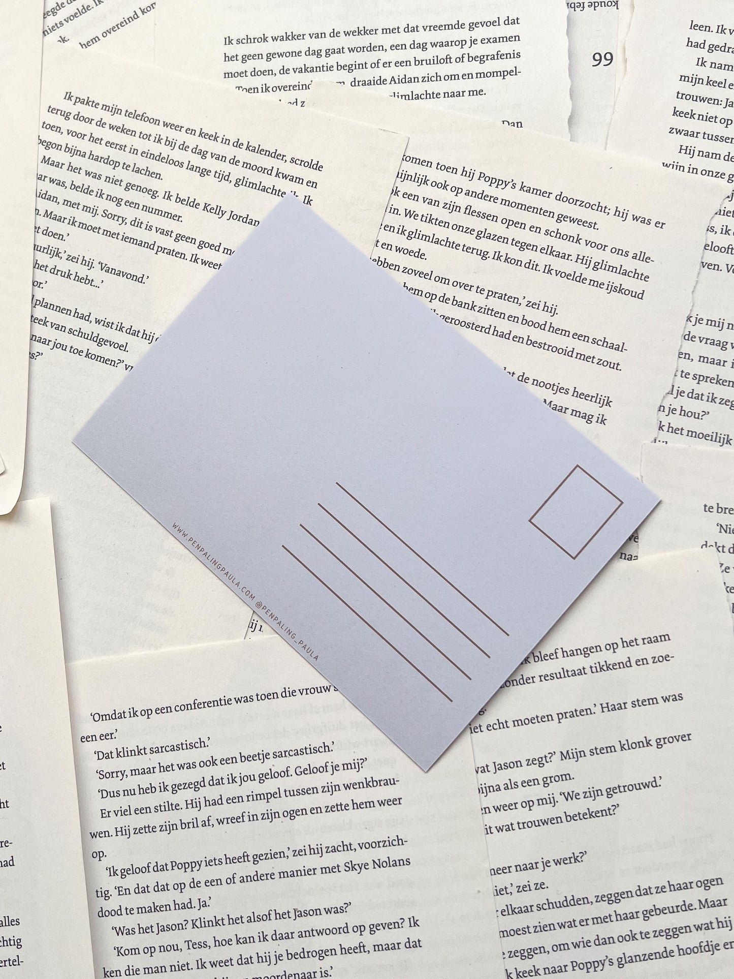 ansichtkaart met een kat in een herfst raamkozijn