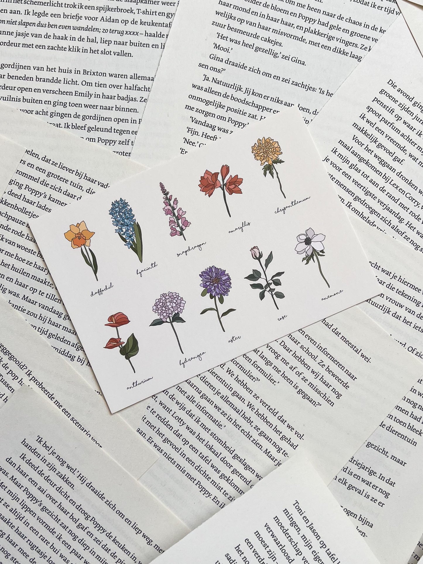 Ansichtkaart - Botanisch