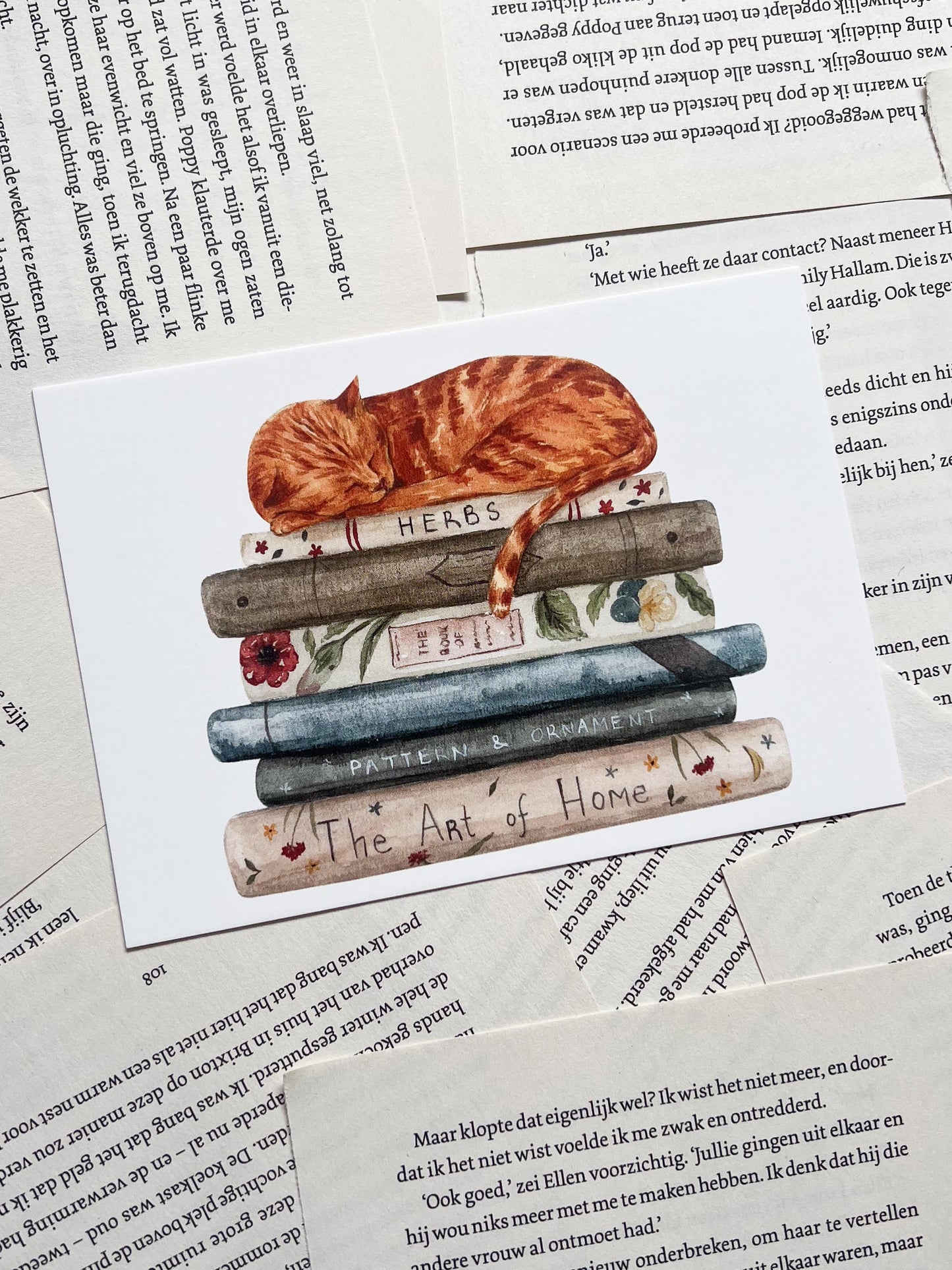 Ansichtkaart - Boeken & Kat