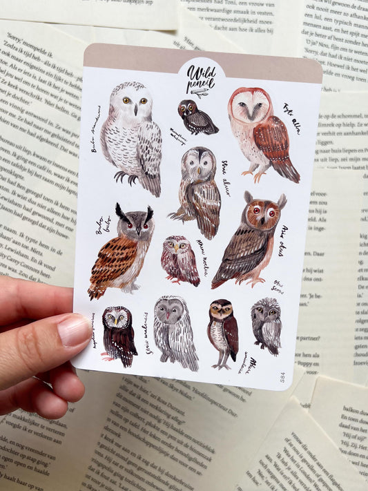 Stickervel - Uilen