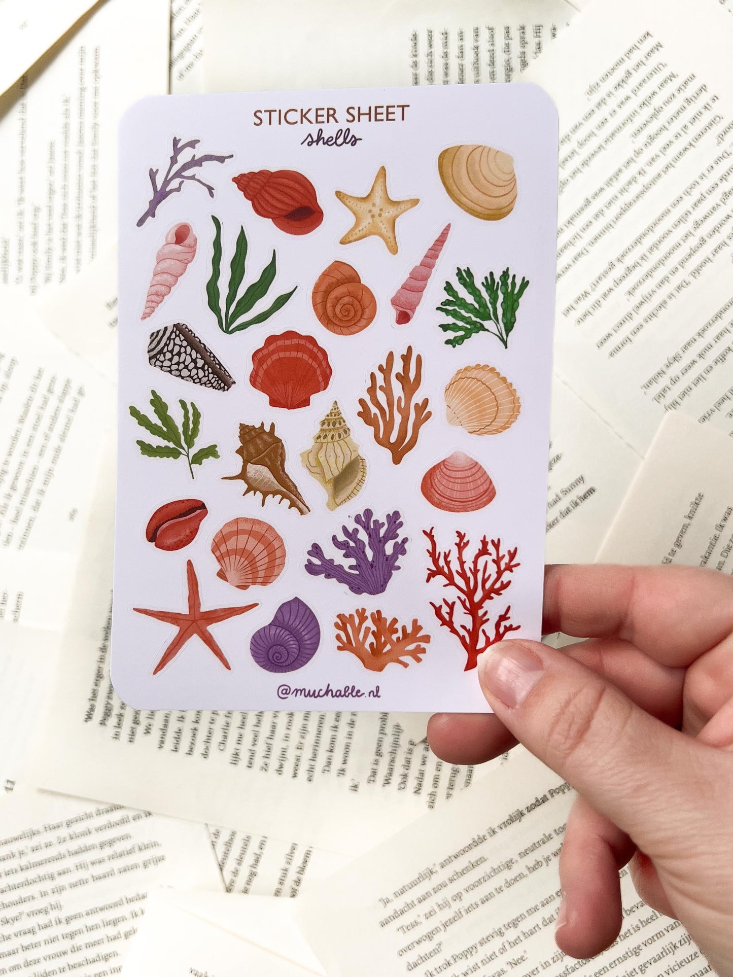 Stickervel - Schelpen