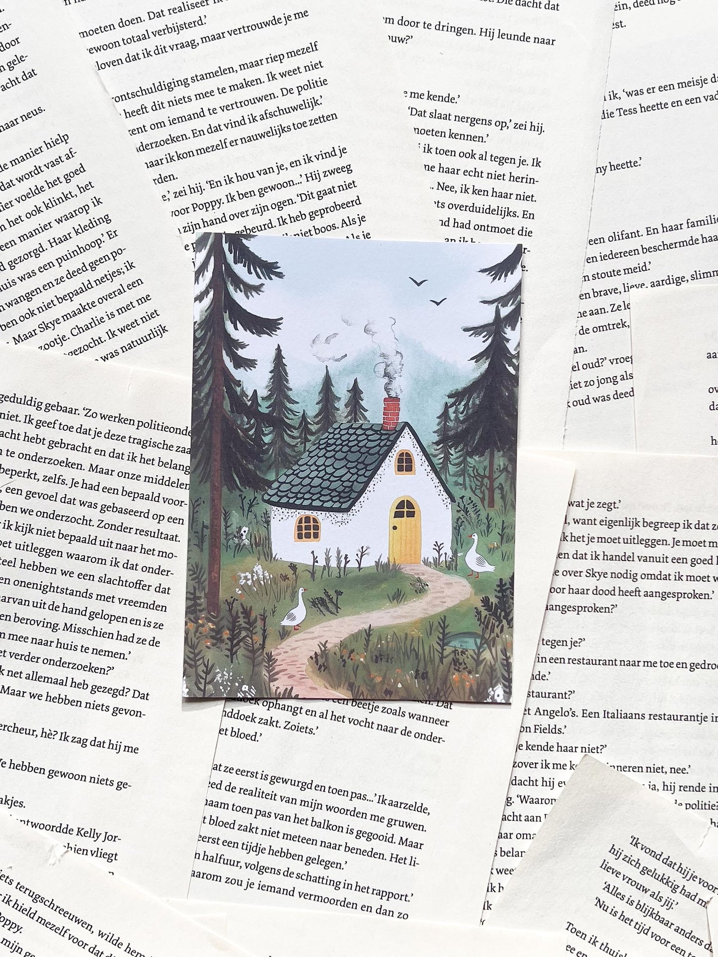 Ansichtkaart - Ganzen Huisje