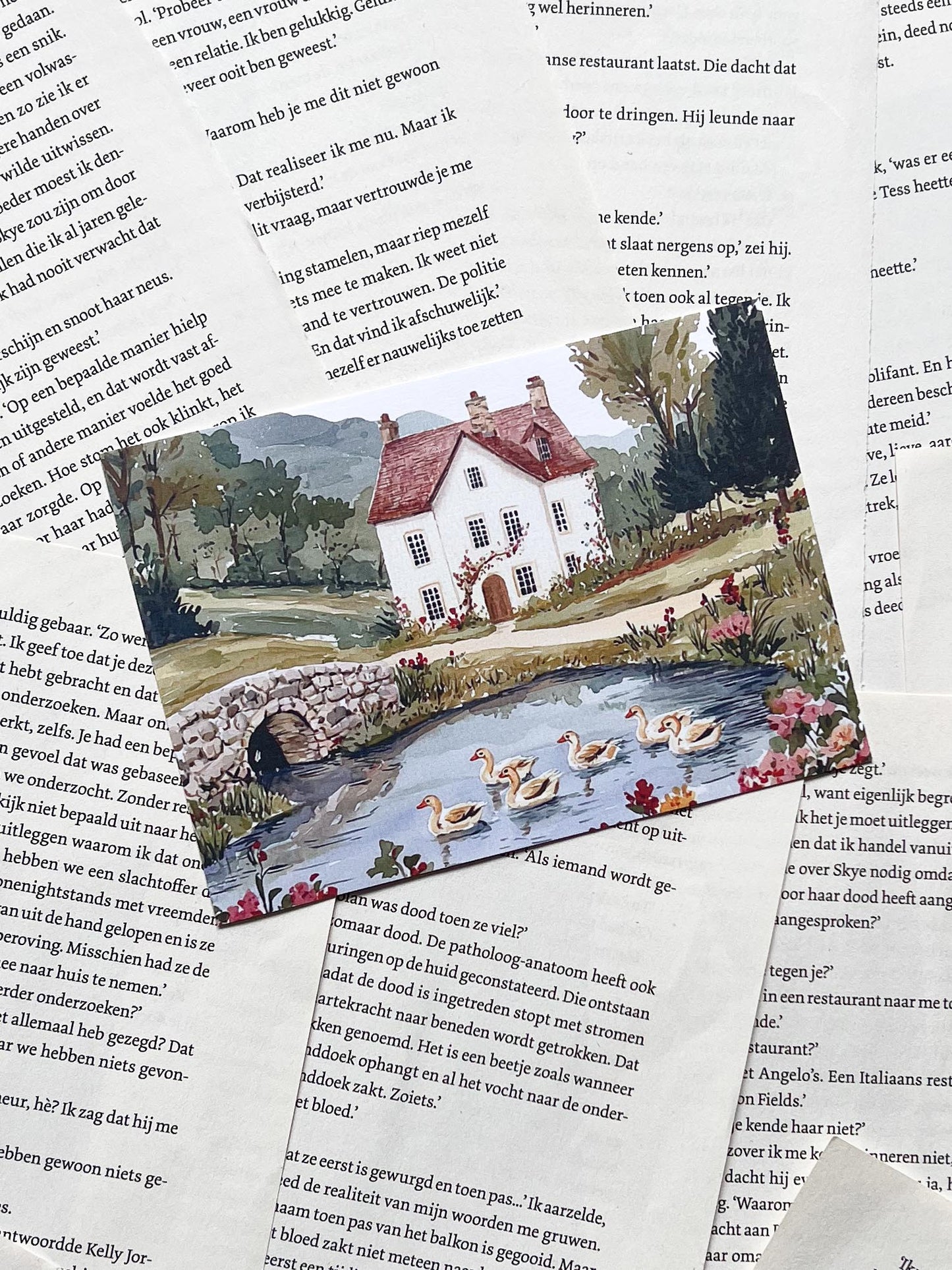 Ansichtkaart - Land Huisje