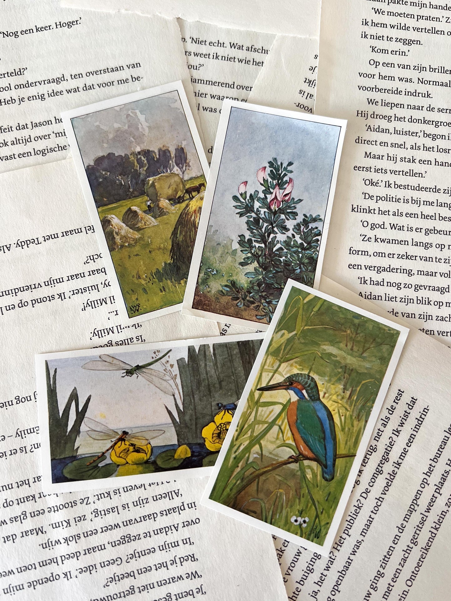 Vintage Verkade Plaatjes