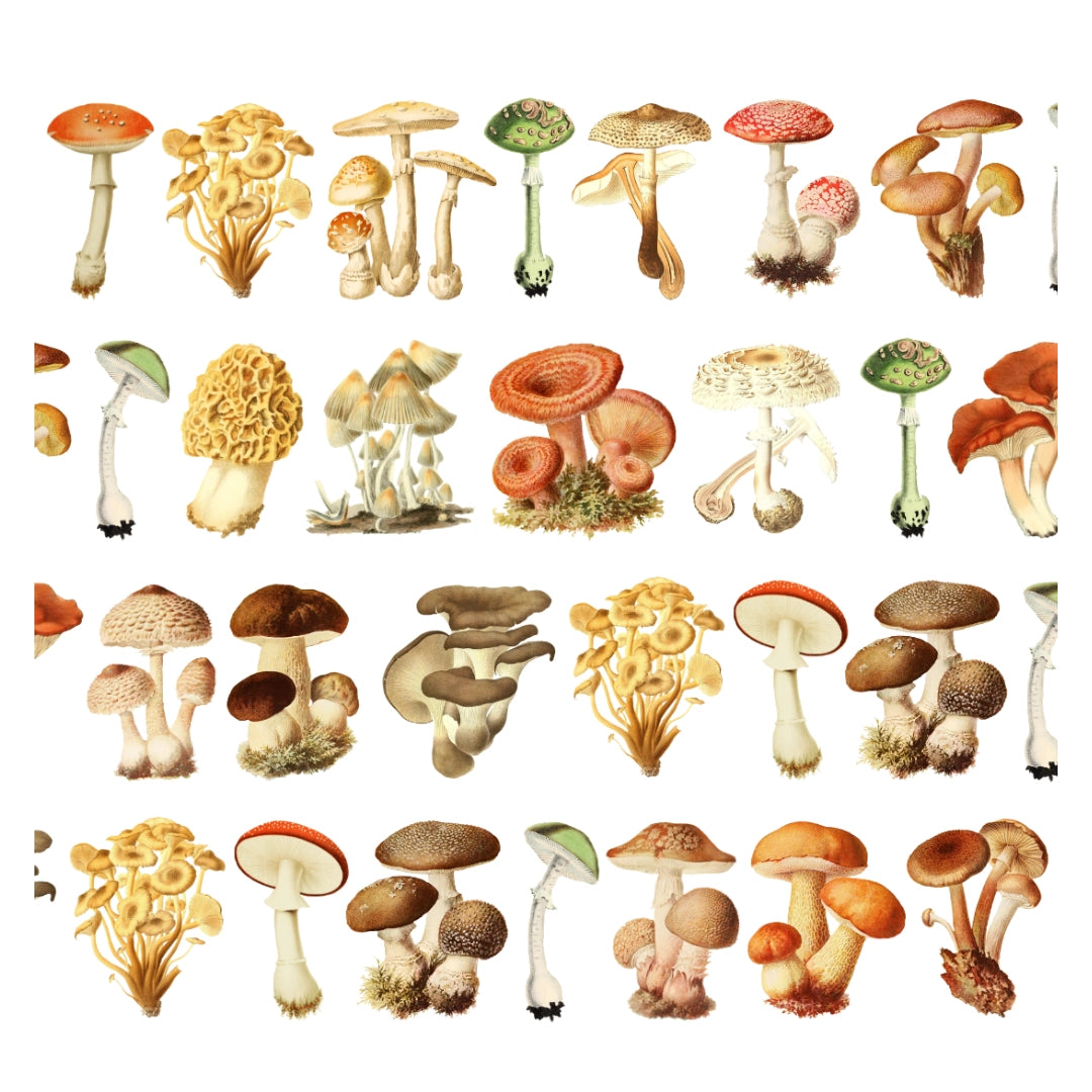 pet-tape met paddenstoelen design