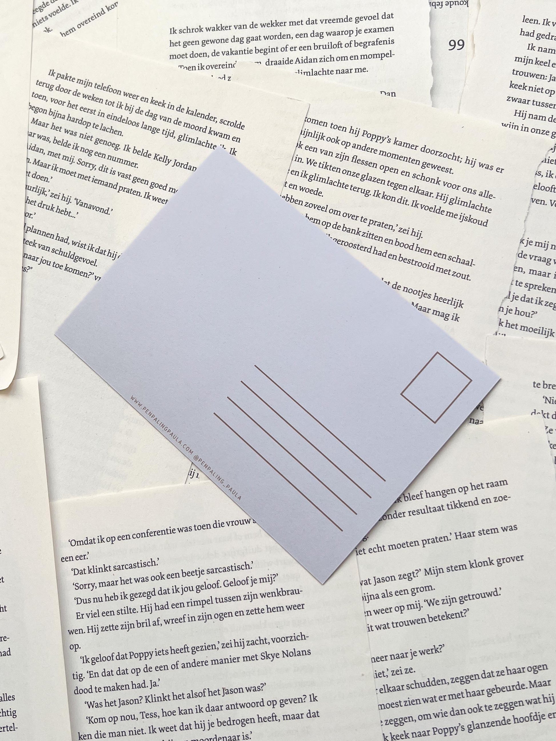 ansichtkaart met een kat in een herfst raamkozijn