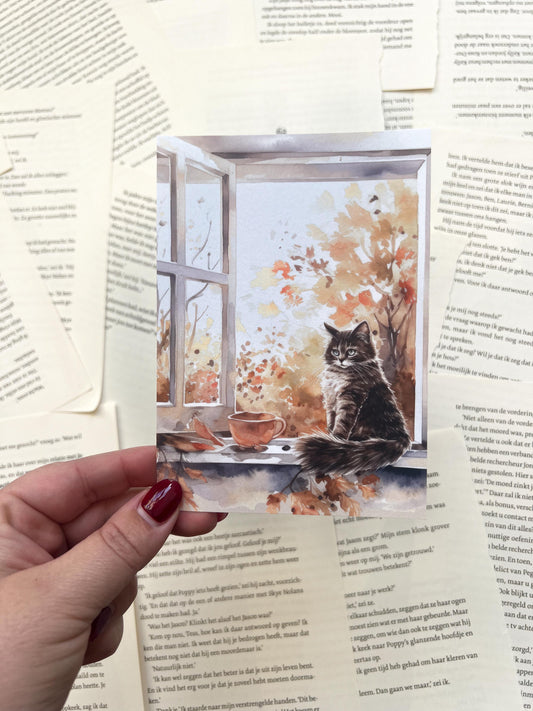ansichtkaart met een kat in een herfst raamkozijn