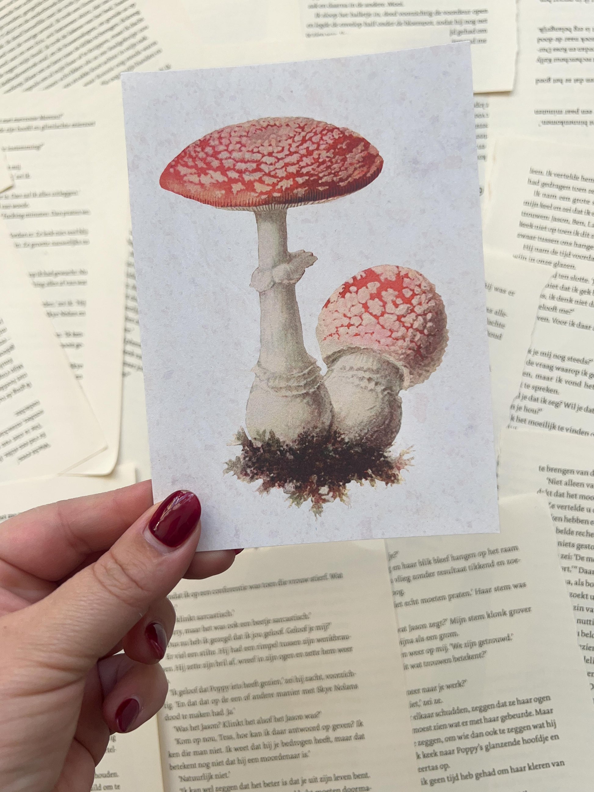 ansichtkaart met paddenstoelen design