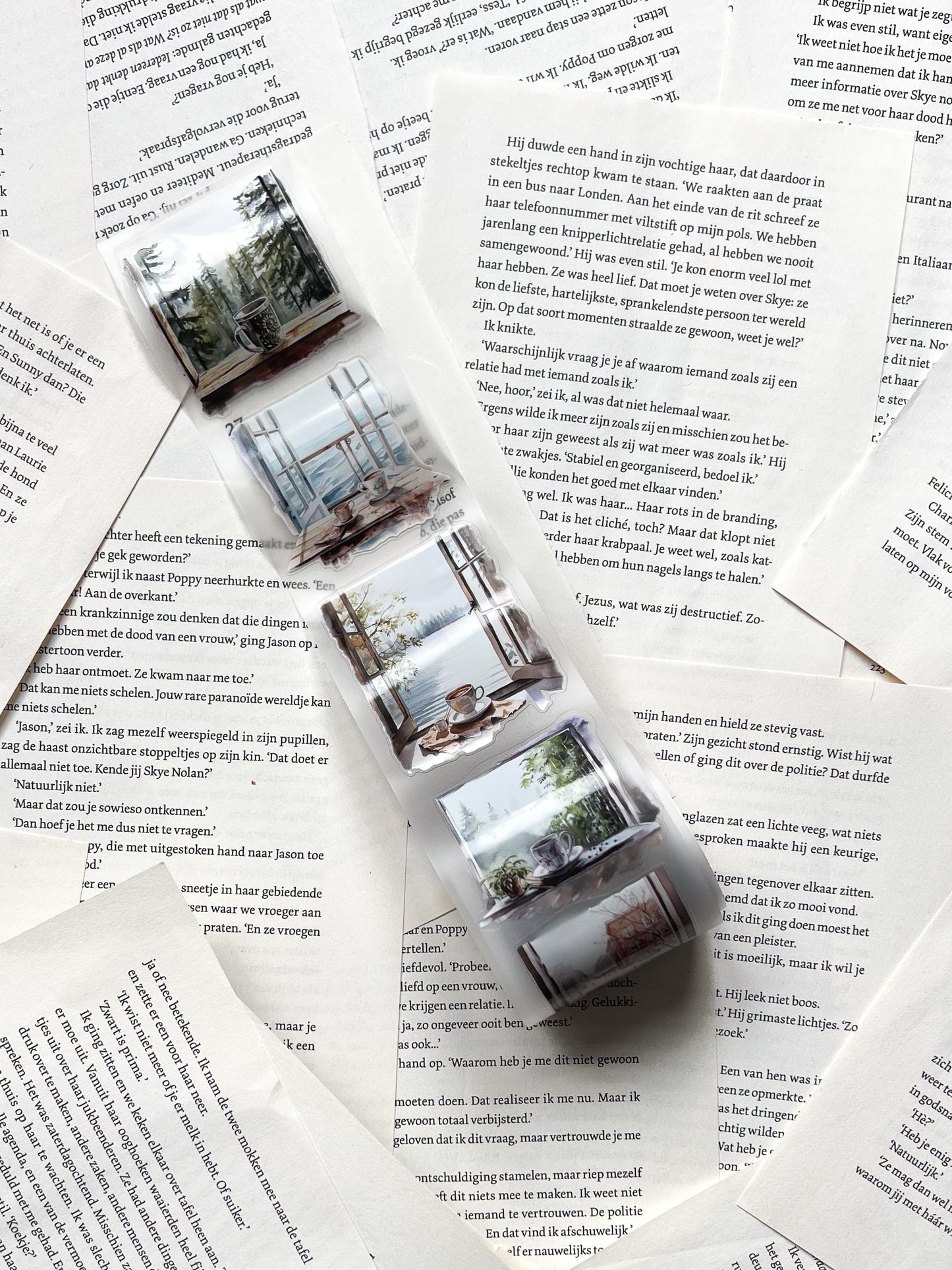 penpaling paula pet-tape met raamgezichten