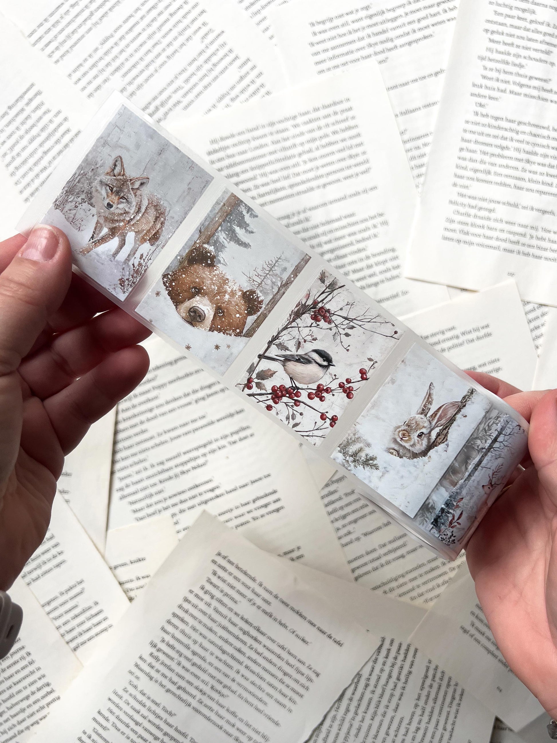 Penpaling Paula pet-tape 